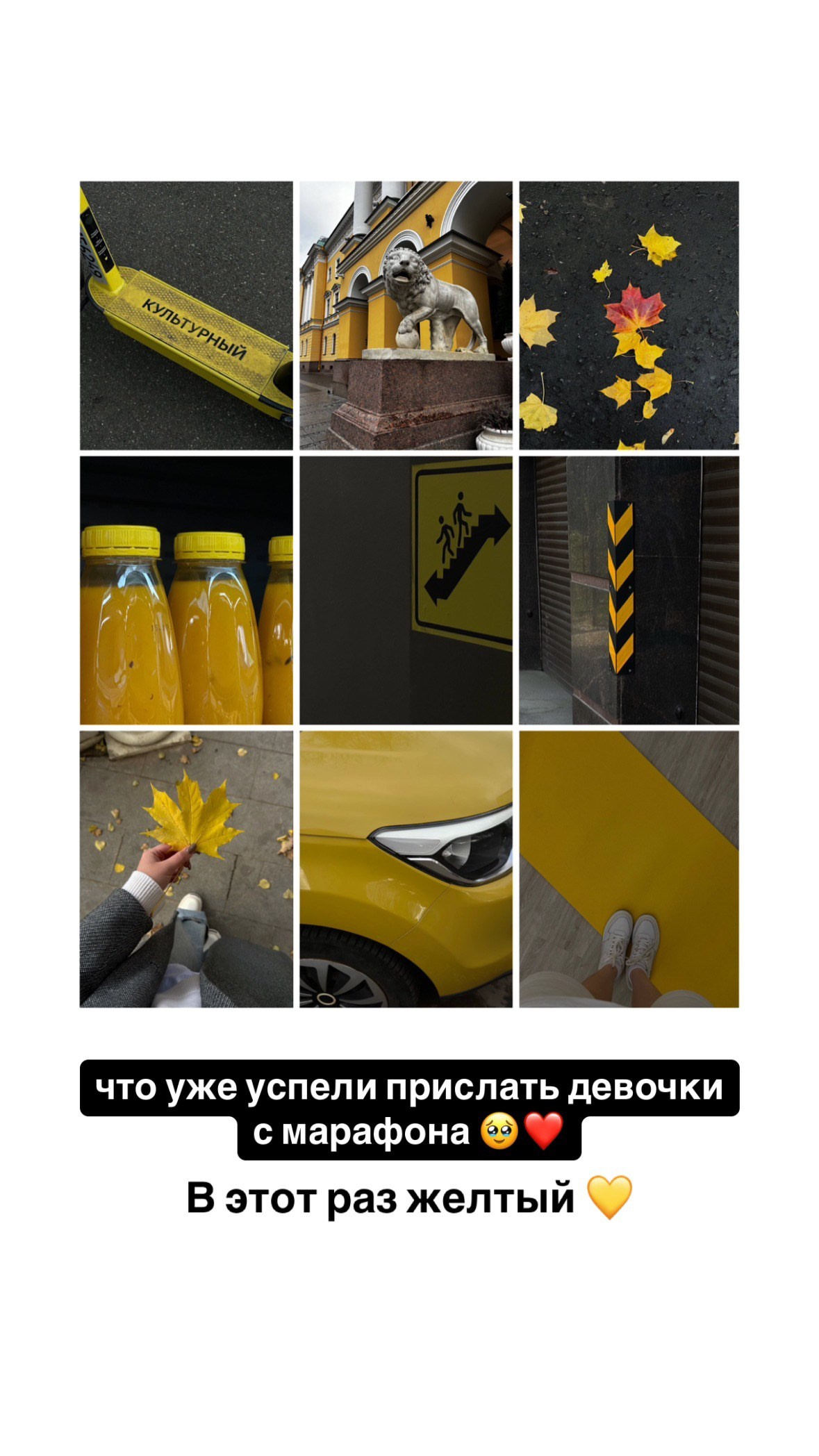 Сними себя. Наставник по мобильной съемке и фотограф Тула Новомосковск