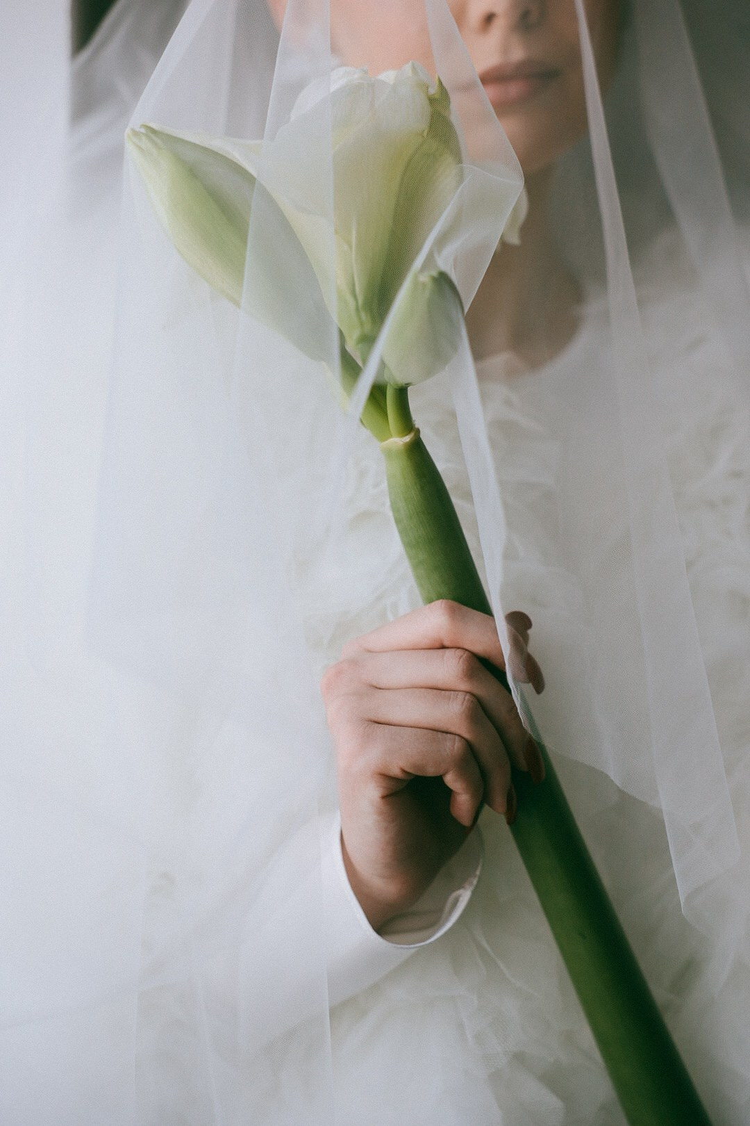 Яна. Фотограф Нижний Новгород