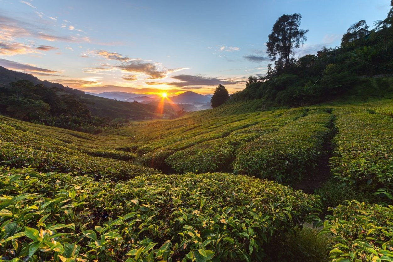КРАСИВЫЕ МЕСТА В СОЧИ. Свадебный и семейный фотограф/видеограф в Краснодаре Наталья Осинская