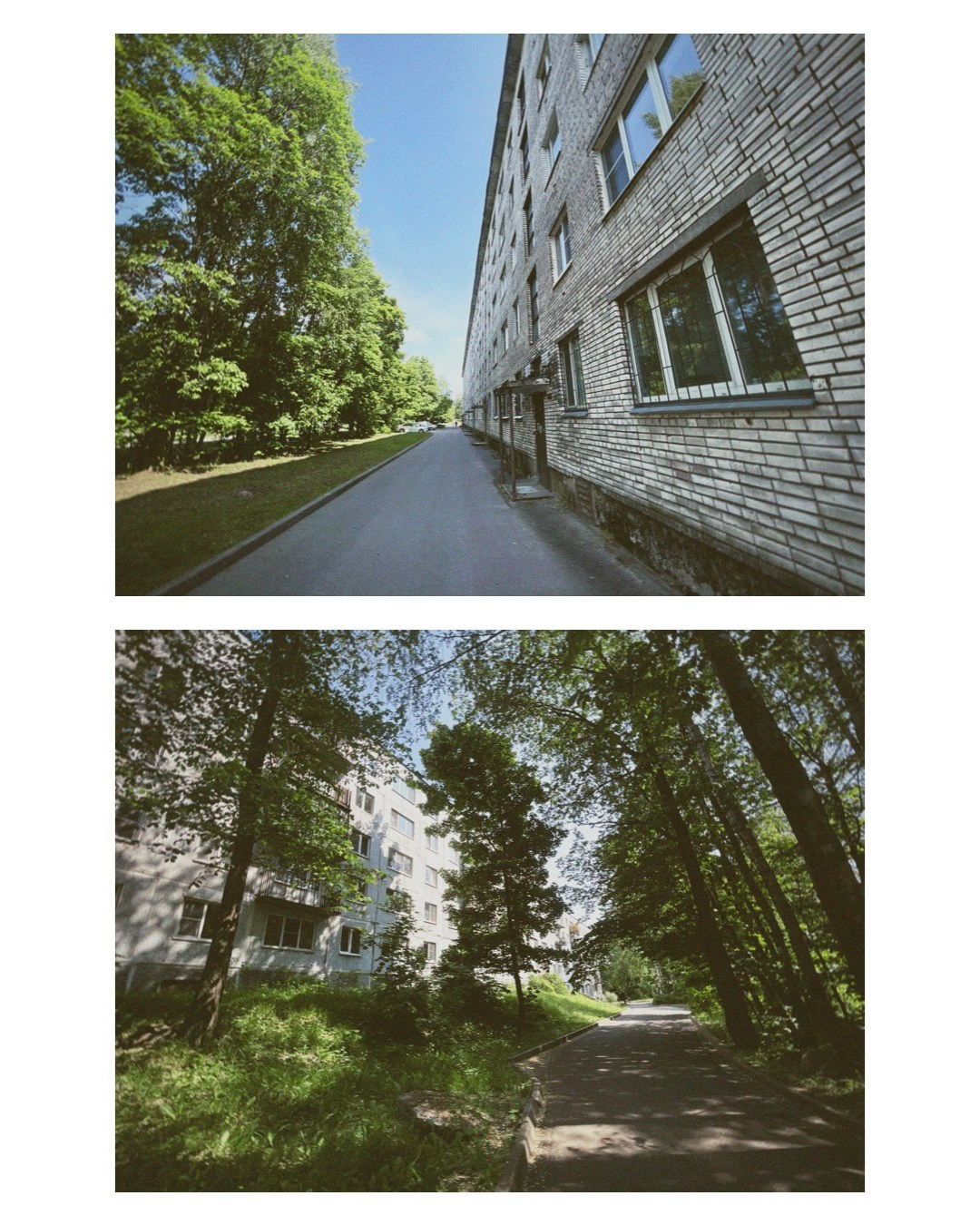 Vyborg. Alina Panover