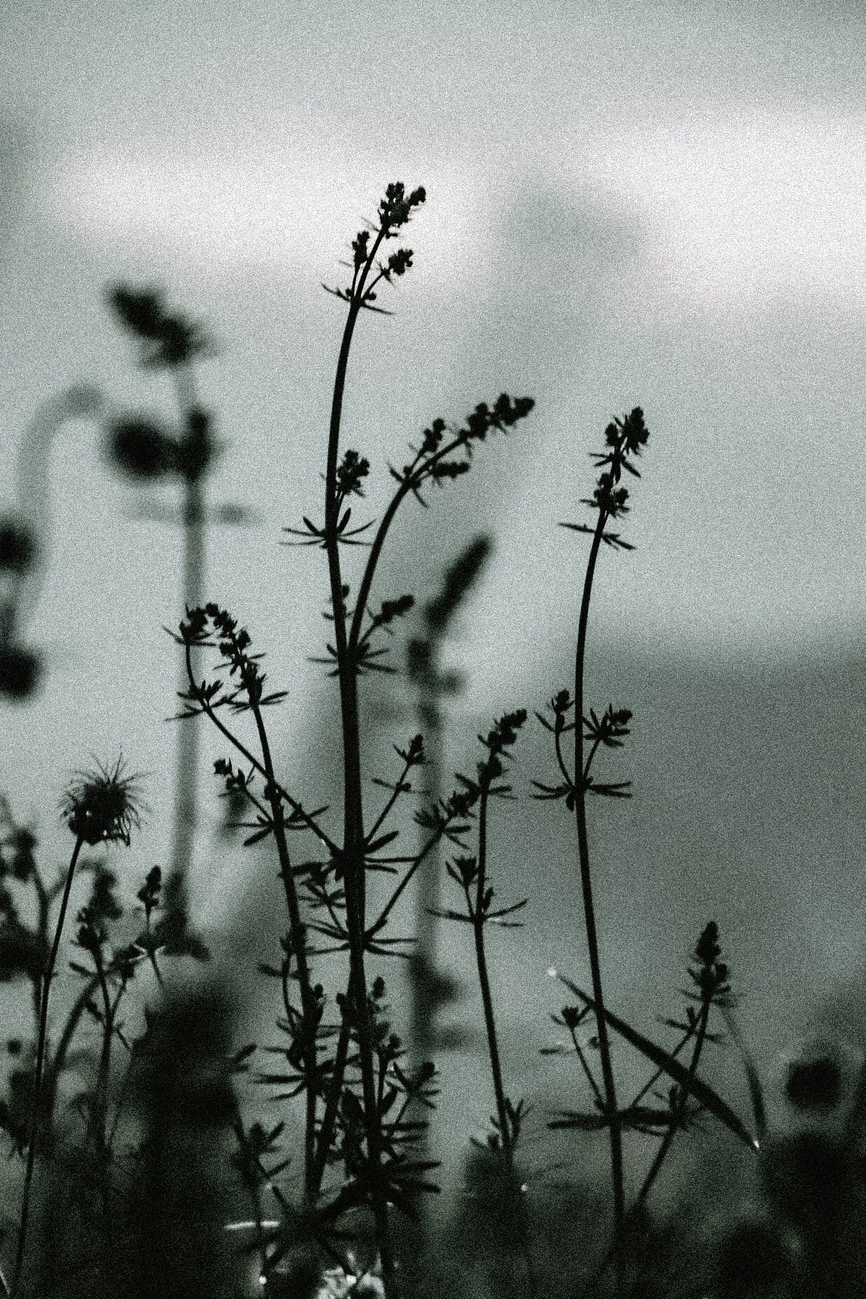 Пейзаж. Фотограф Олеся Шипихина г. Москва
