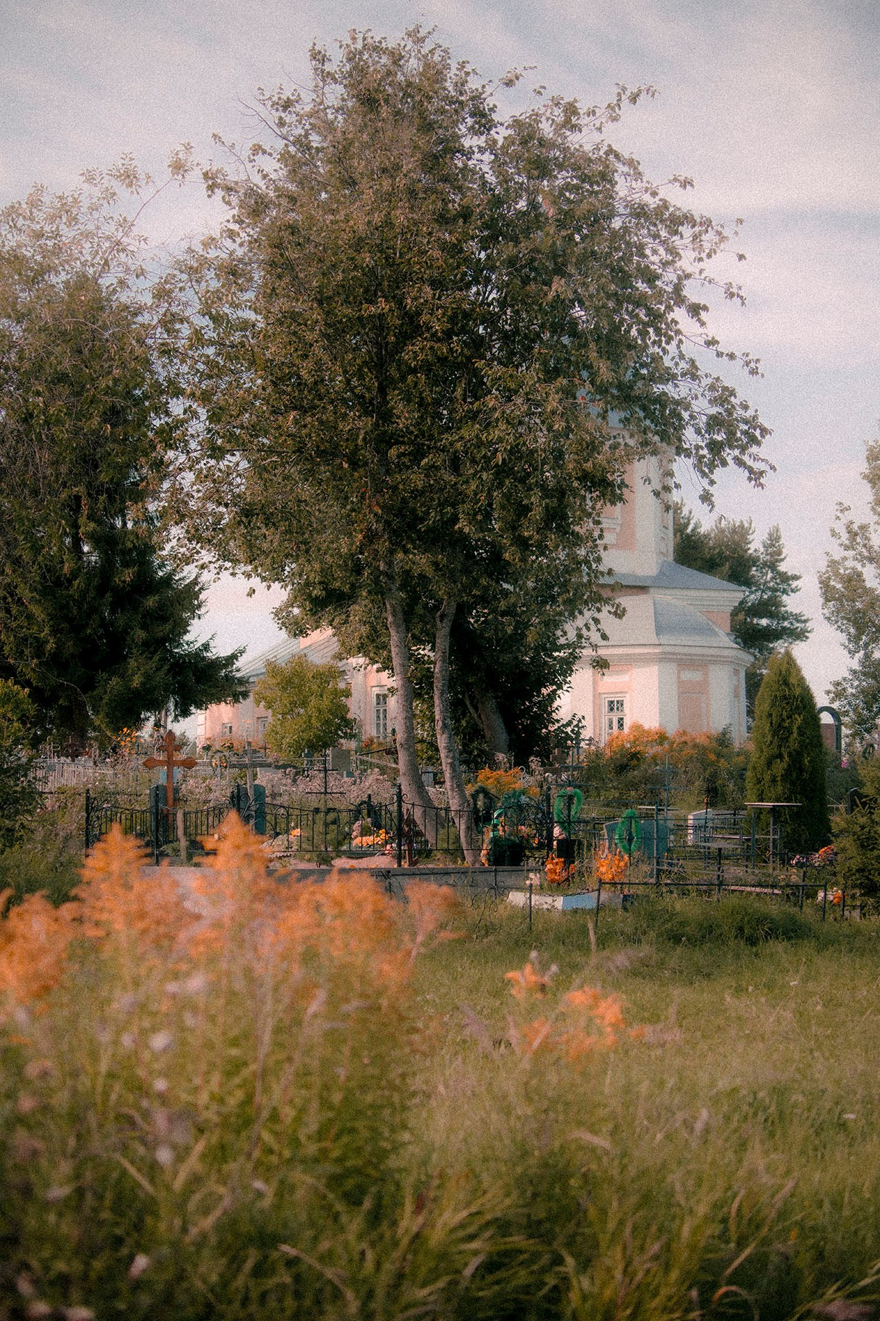 Цветные фотографии. Фотографии Лены Соколовой