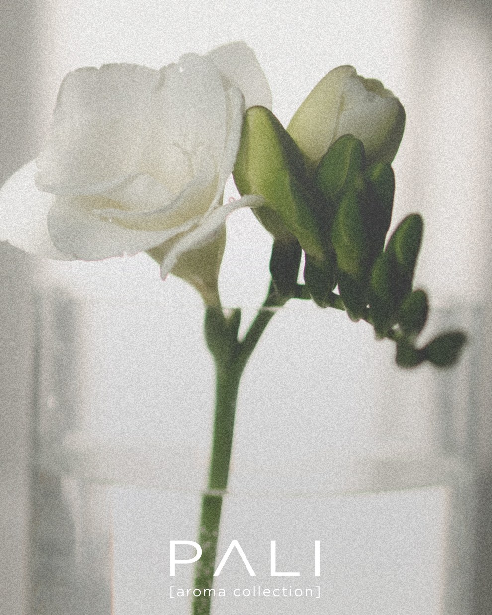 Портретный фотограф Дорошко Анастасия