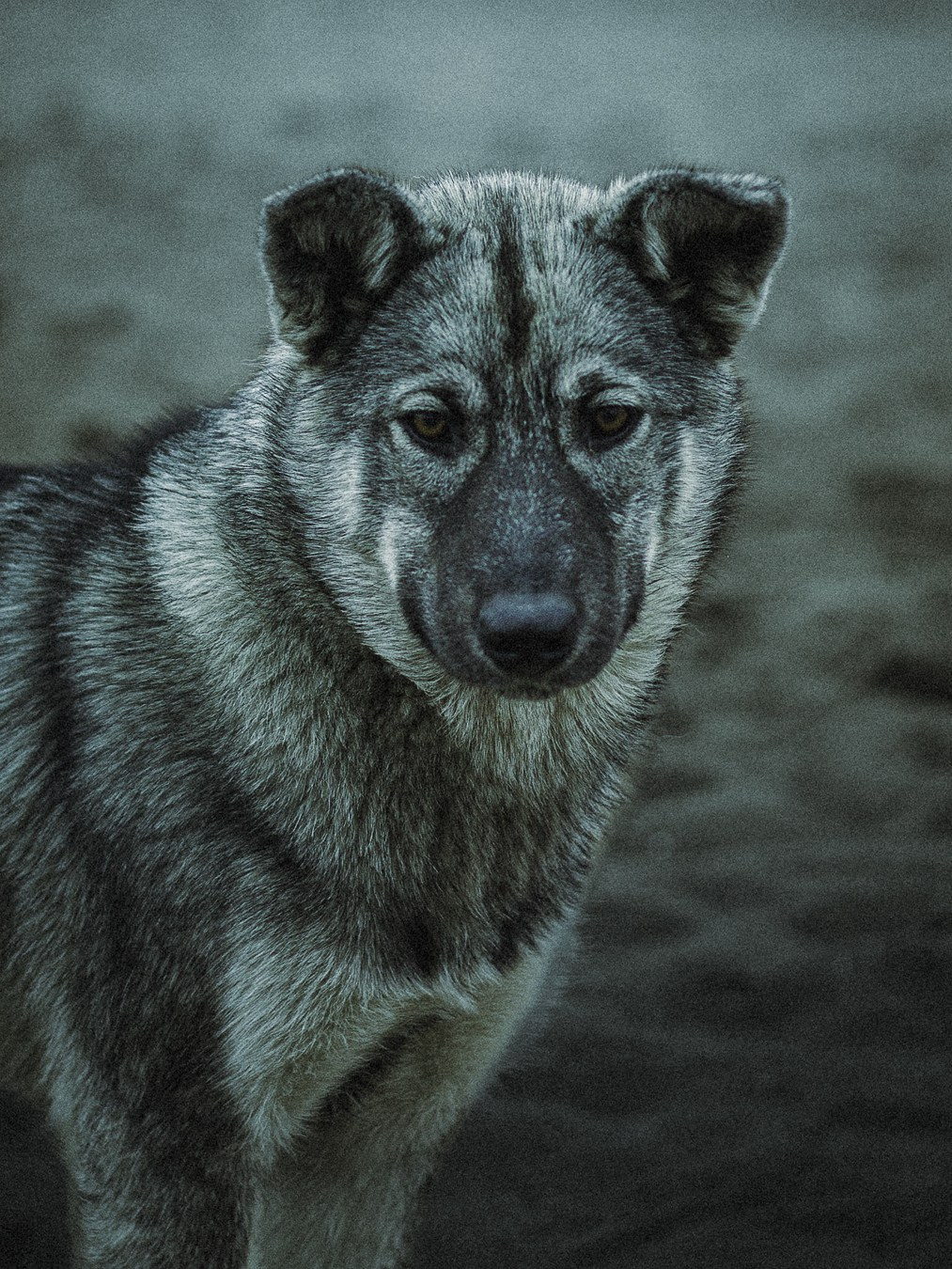 Фотосессия девушки Москва. Oskar Dallas — professional photographer in Moscow