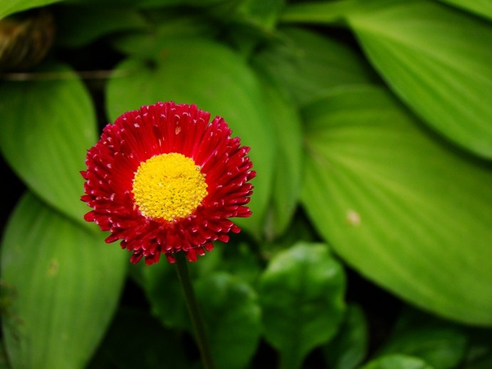 Самые первые мои фотографии. Елена Берсенева, фотограф