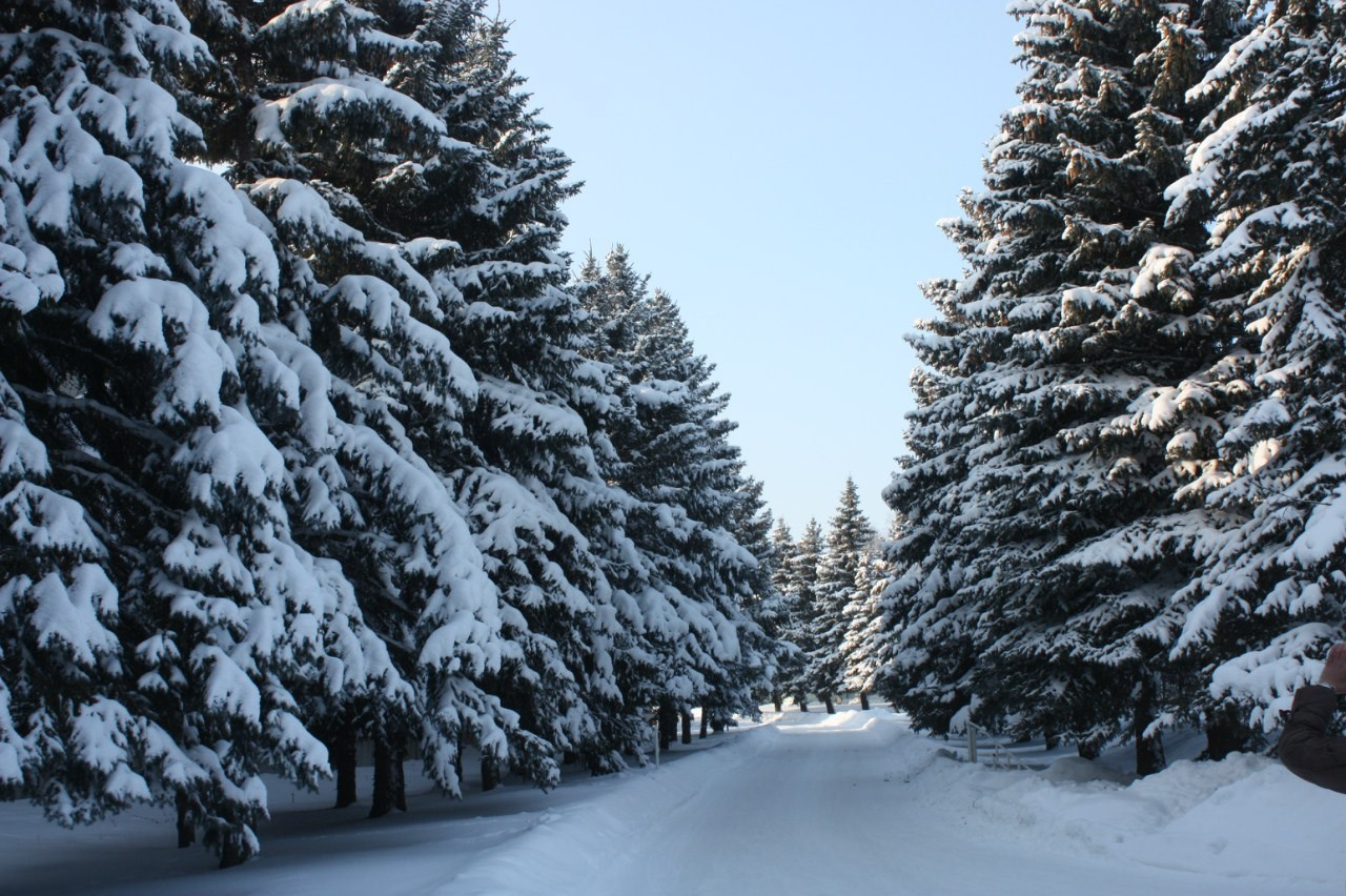 Быково и Гжель | 24.01.2016. Галерея Фантим
