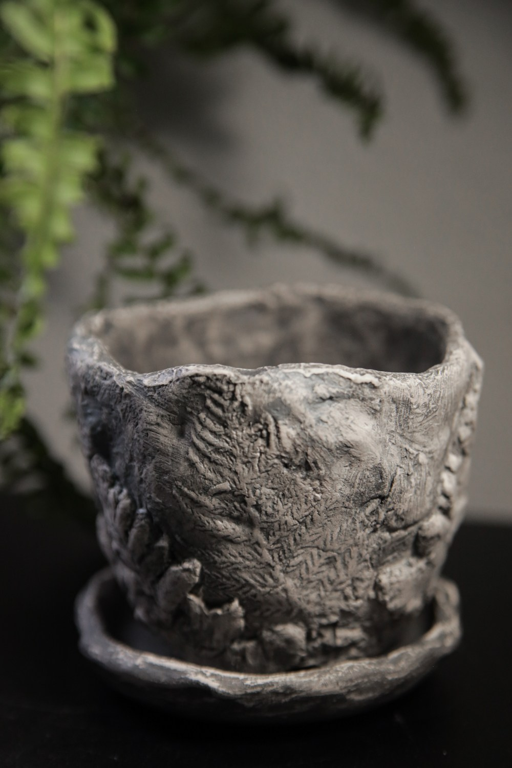 «Папоротники» Малый 1500 р. Катя Цвет