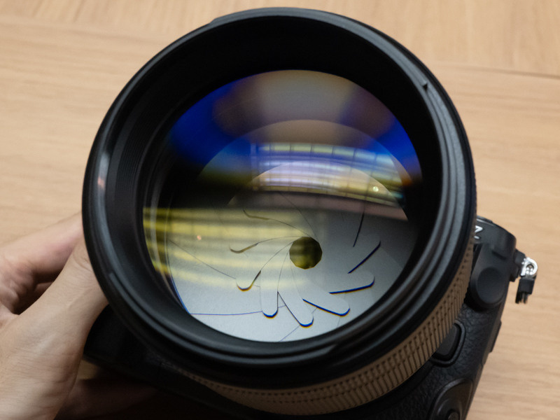 Nikon «NIKKOR Z 135 mm f/1.8 S Plena». Фотограф — видеограф в Москве Дмитрий Менделеев