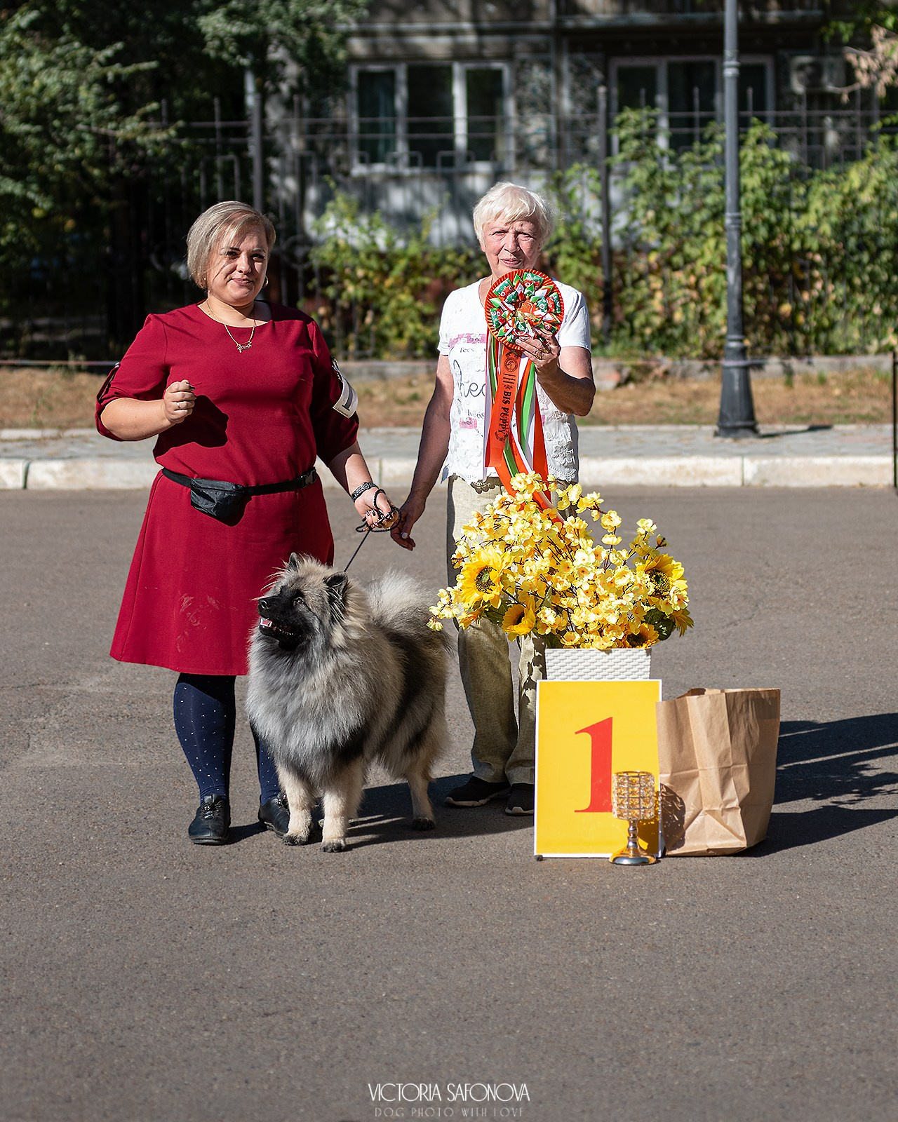 15 сентября 2024. Благовещенск. Монопородная выставка шпицев. Фотограф анималист Благовещенск. Сафонова Виктория
