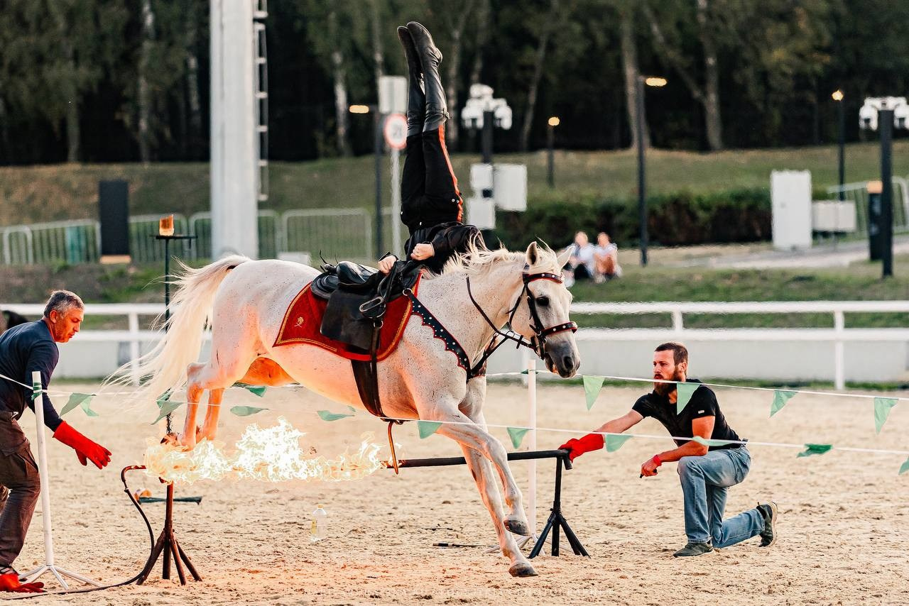 Шоу «ВМЕСТЕ» в рамках 25й Юбилейной выставки ЭКВИРОС 2024. Конный фотограф Куракина Дарья • Фотосессии с лошадьми