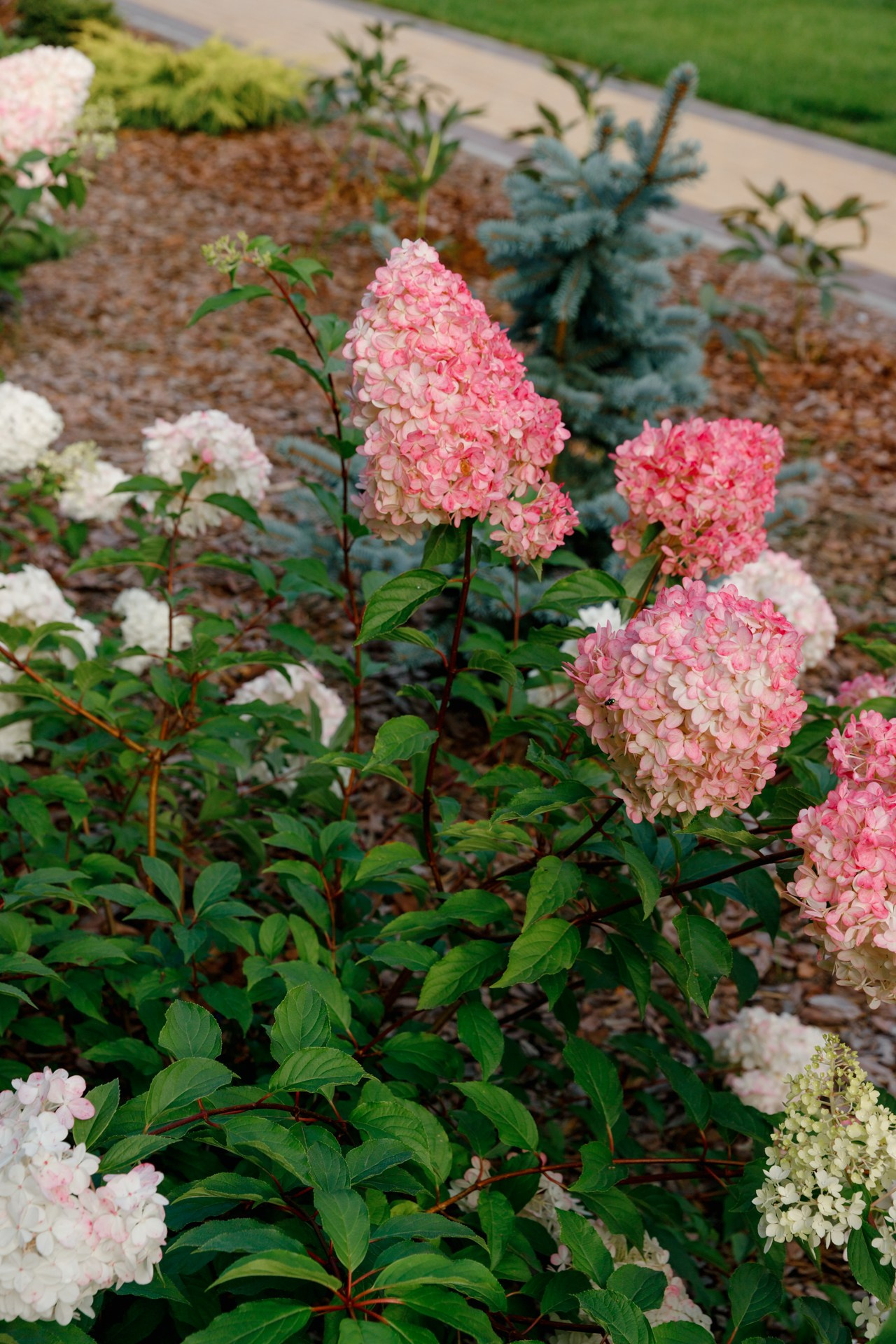 Загородный дом. Ландшафтный дизайн. Репортажный фотограф в Санкт-Петербурге Жолудев Владислав