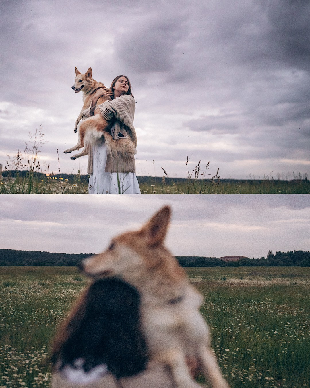Соня и Кора. Фотограф анималист в Москве и Санкт-Петербурге Свиридова Анна