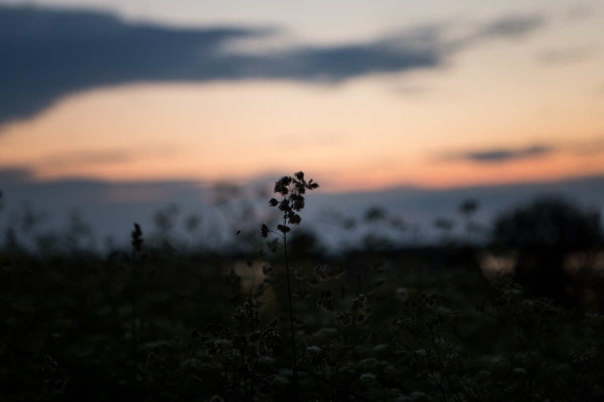 Kizhi. Фотограф Евгения Добротворская