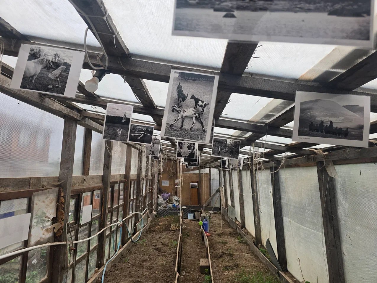 Участвую в арт-фестивале «Русское осознанное», Грибово. Фотограф Наталия Шляпина в Ростове-на-Дону