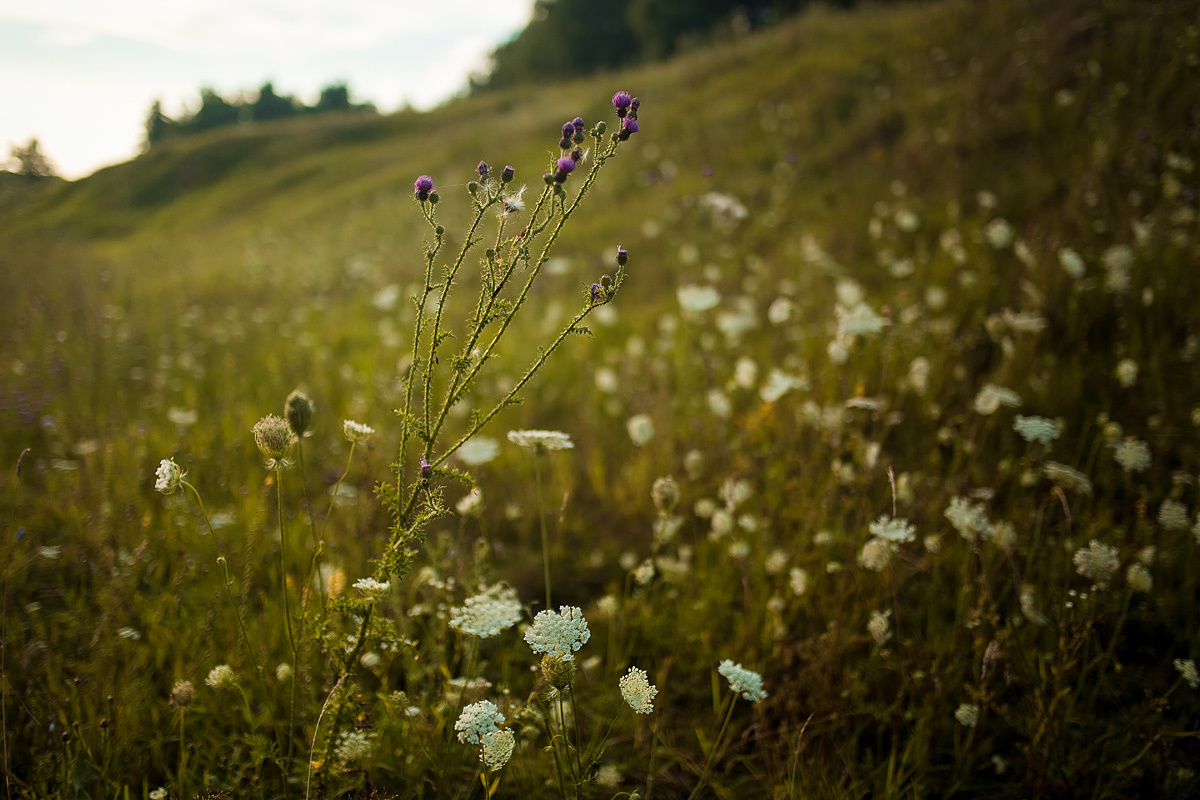 Альбина и Олег lovestory. Свадебный и семейный фотограф Москва Екатерина Верижникова
