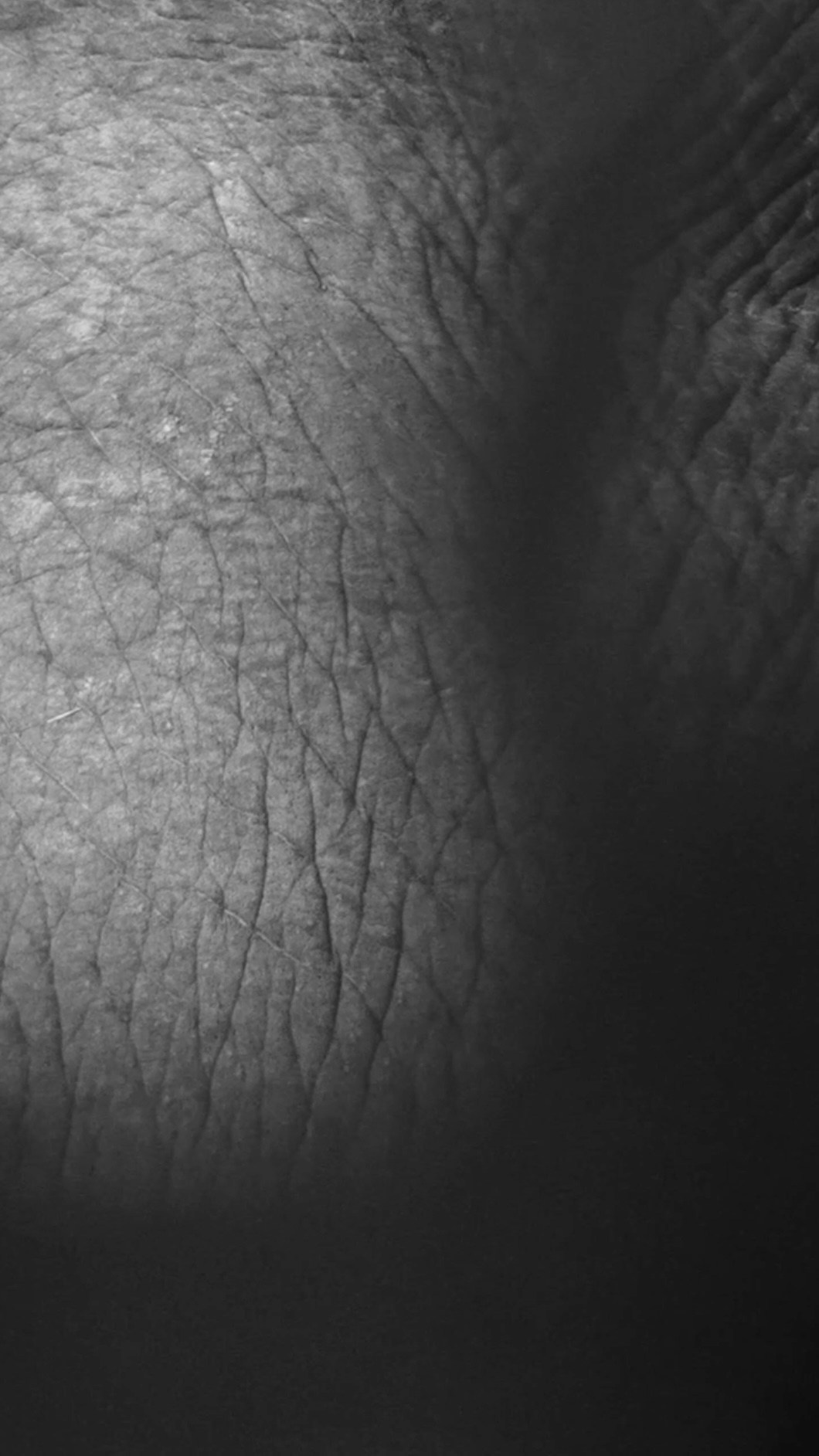 ПРЕГОЛЯ НЕ РЕКА. Художественная группа «Нежные Бабы»