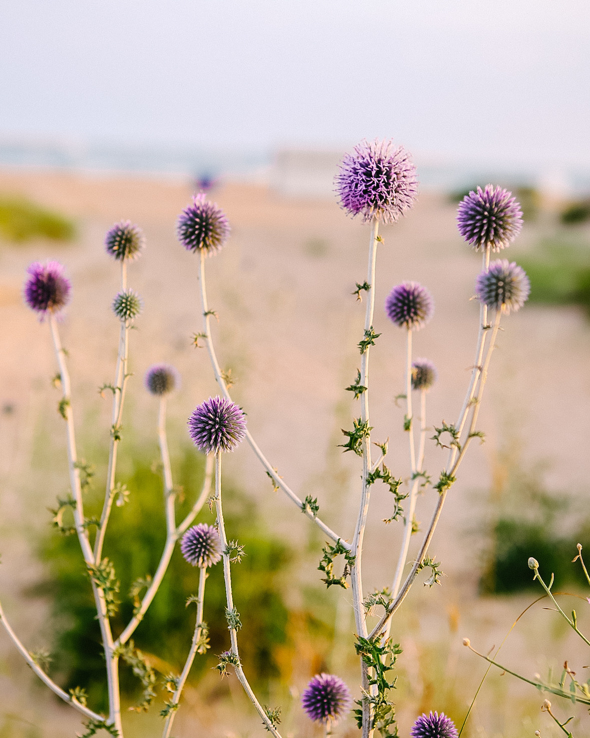Кэт, море и 7 утра. Фотограф в Воронеже. Портреты, контент, семейные сьемки