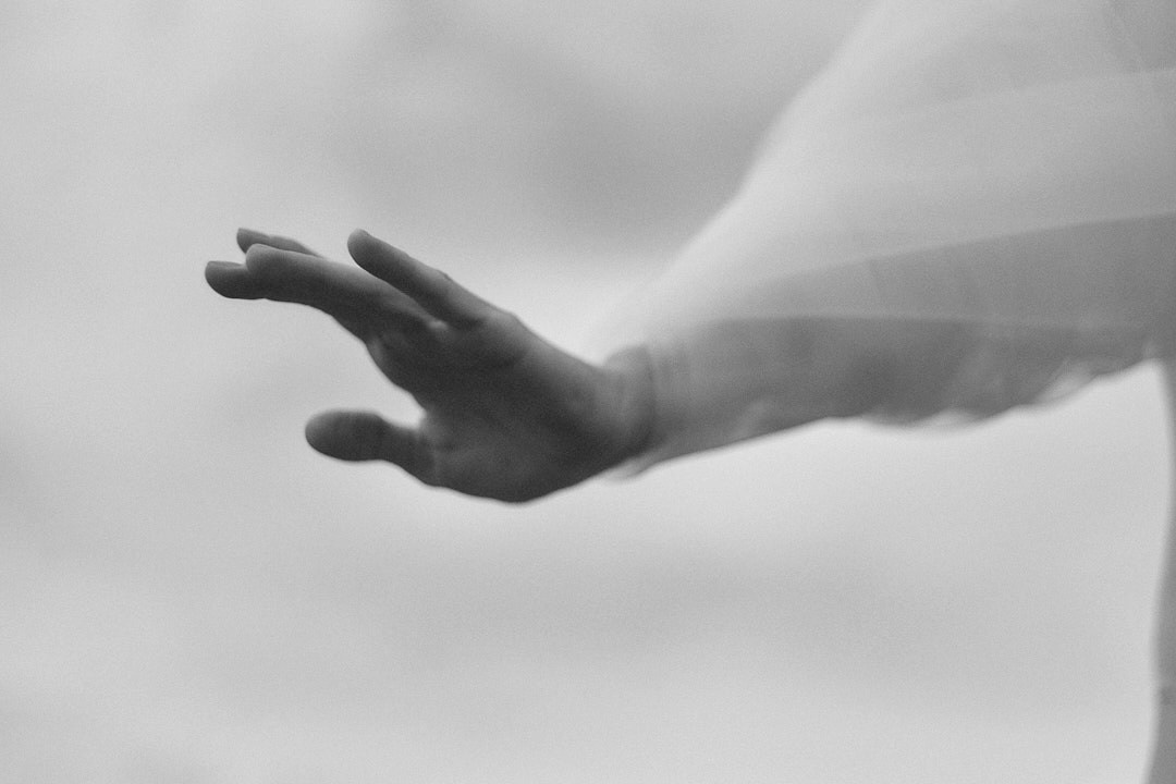 Виолетта Скрипка