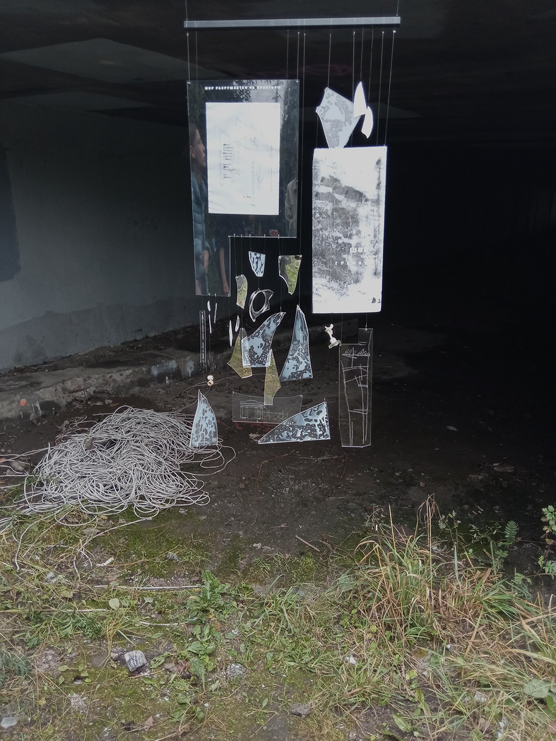 Красненькая биеннале 2025. Private image