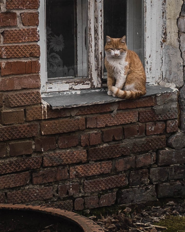 Эстетика ебеней. Олег Романов. Мастер фото по спорту