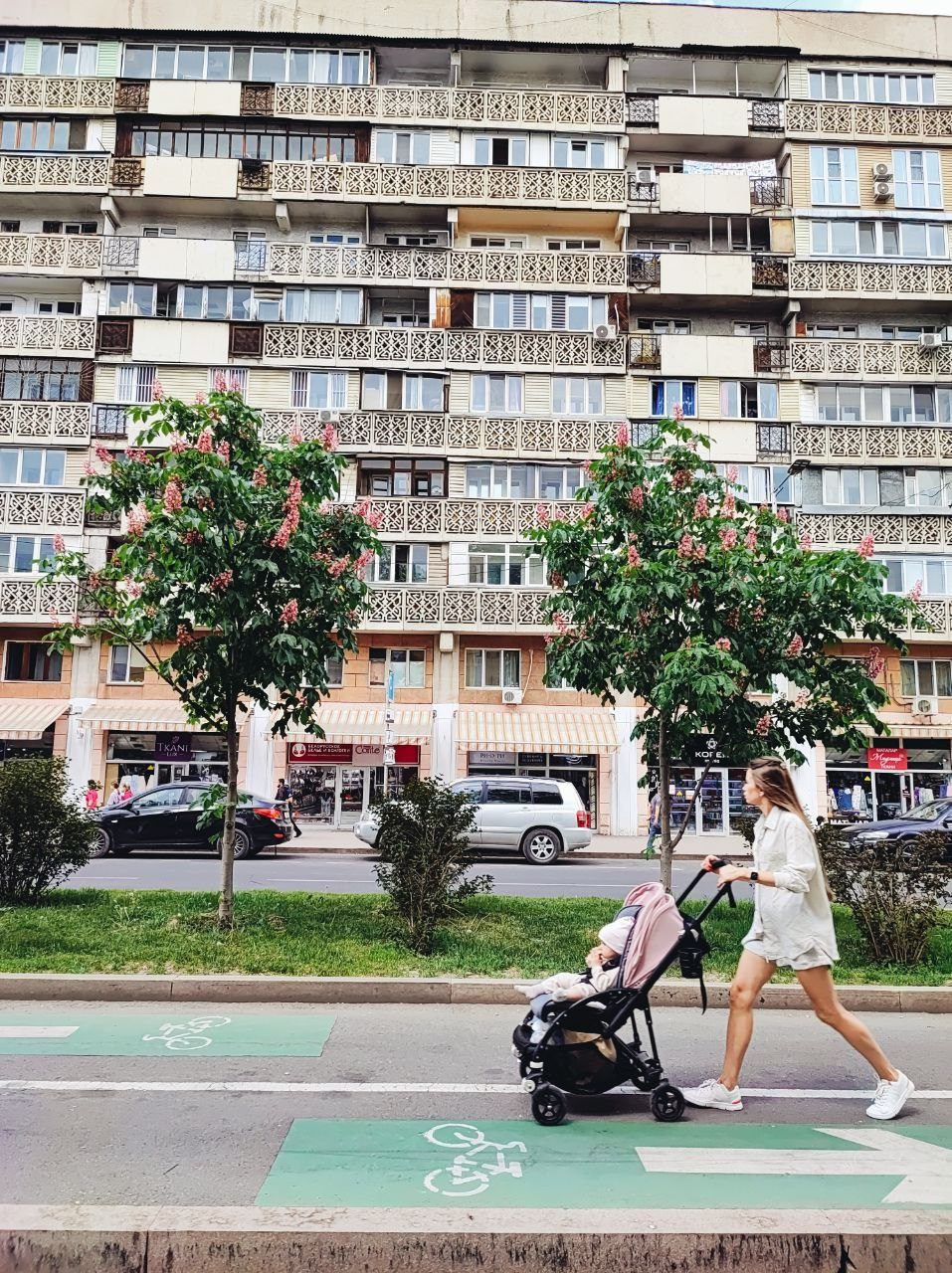 Намобилкус казахский. Репортажный фотограф Алексей Пирязев