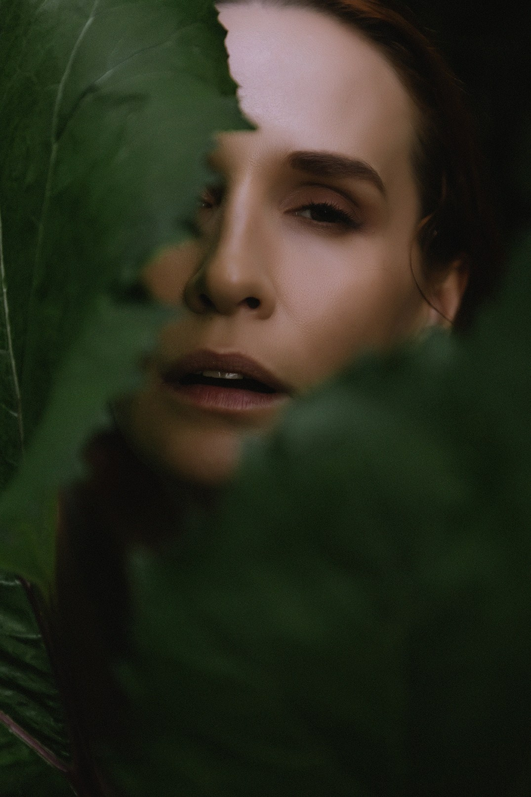 Оля портреты. Семен Соколов