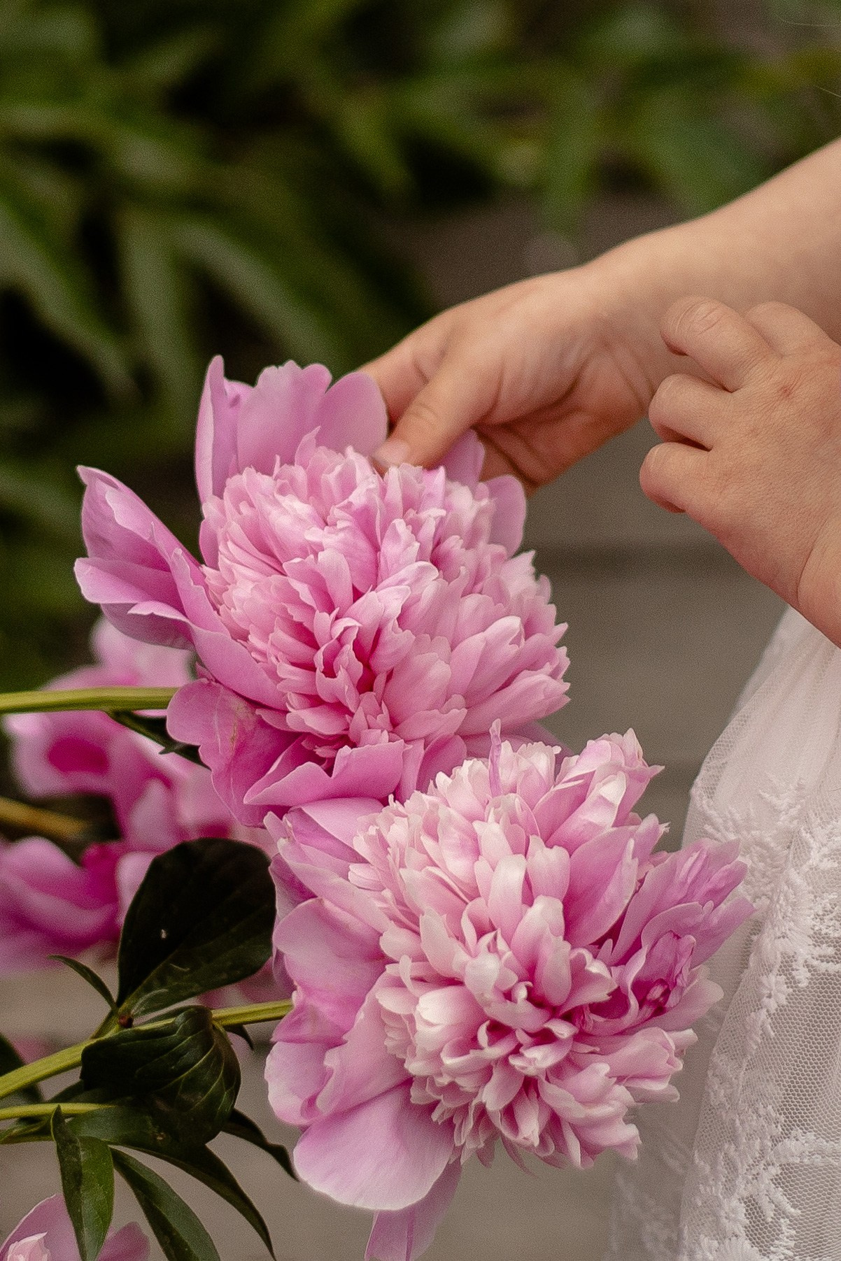 Пионовая история с Евой🌸. Семейный фотограф в Саратове Элоиза Ляпина