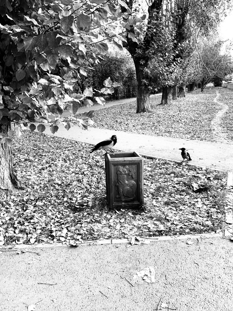 Стрит фото. Фотограф в Екатеринбурге Татьяна Соколовская