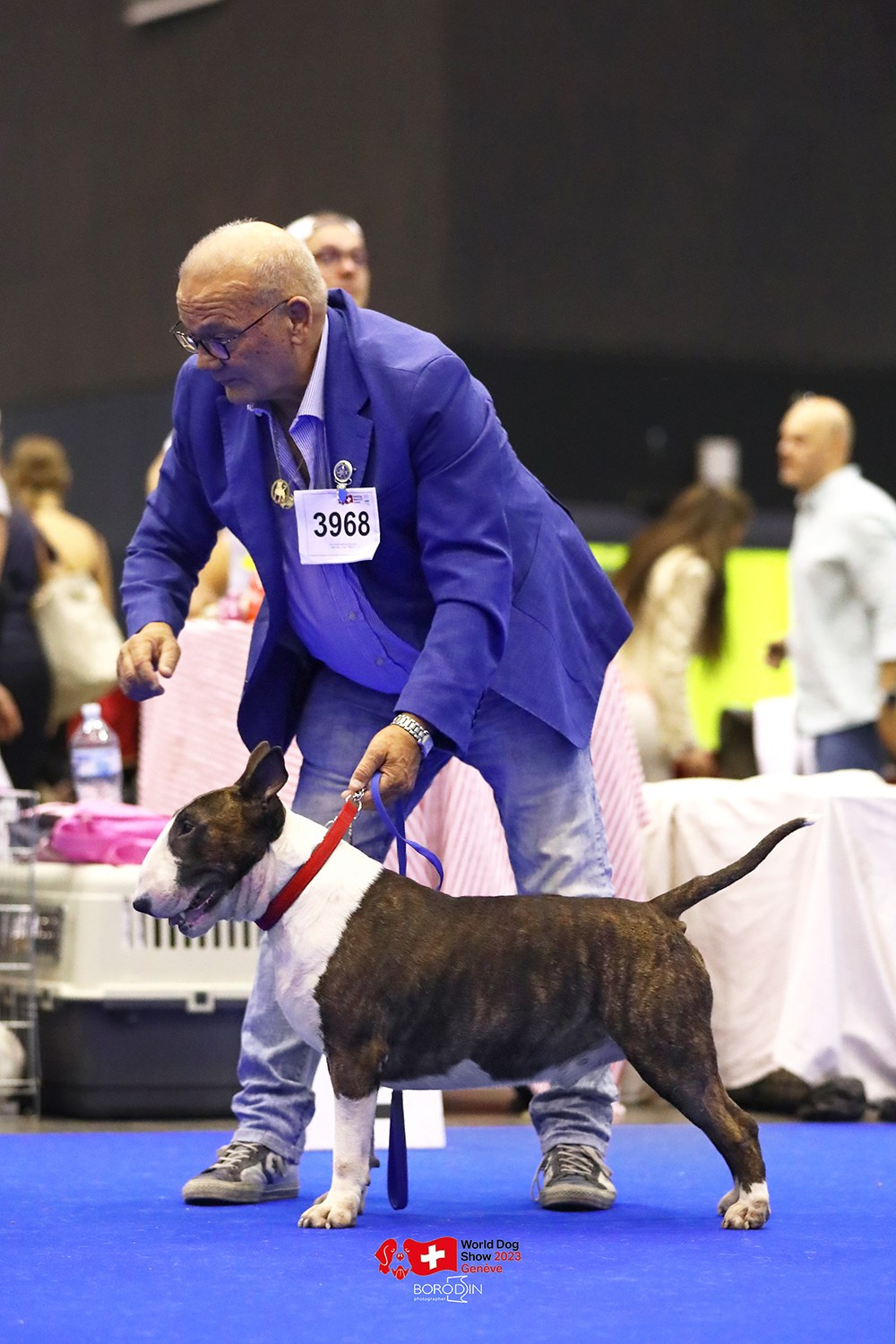 24-27.08.2023 WDS Geneva. Фотограф Дмитрий Бородин