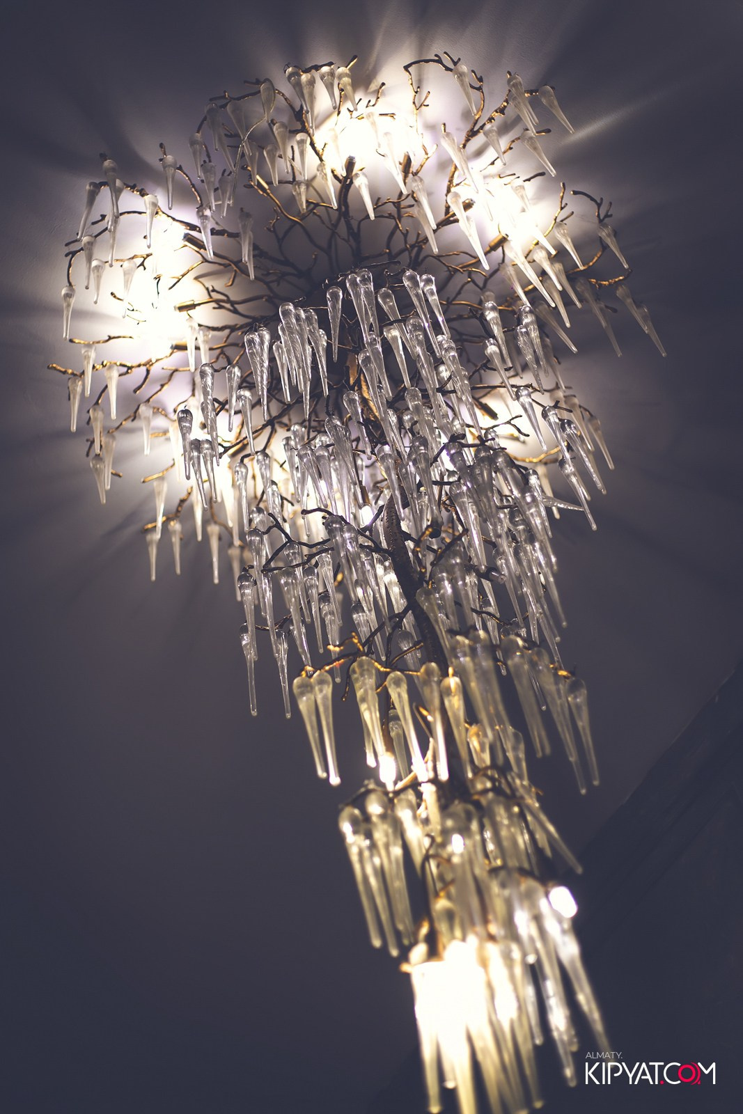 LAUREATE GRAND CAFE. КИПЯТКОМ АЛМАТЫ!