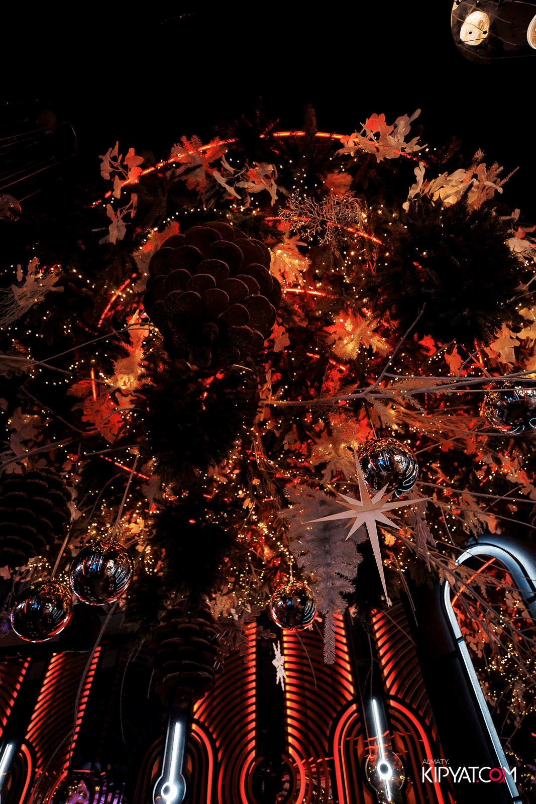 FRIENDS BAR & TERRACE. КИПЯТКОМ АЛМАТЫ! Фотосъемка мероприятий в Алматы