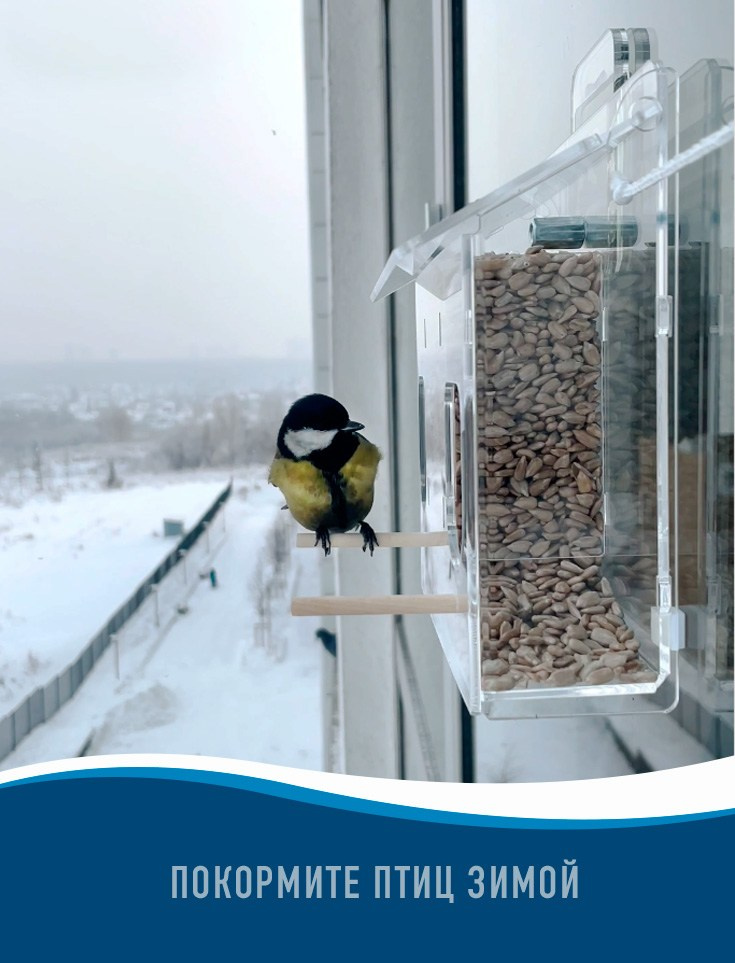 ДОМИК. Кормушки для птиц на окно Чирик-Чирик