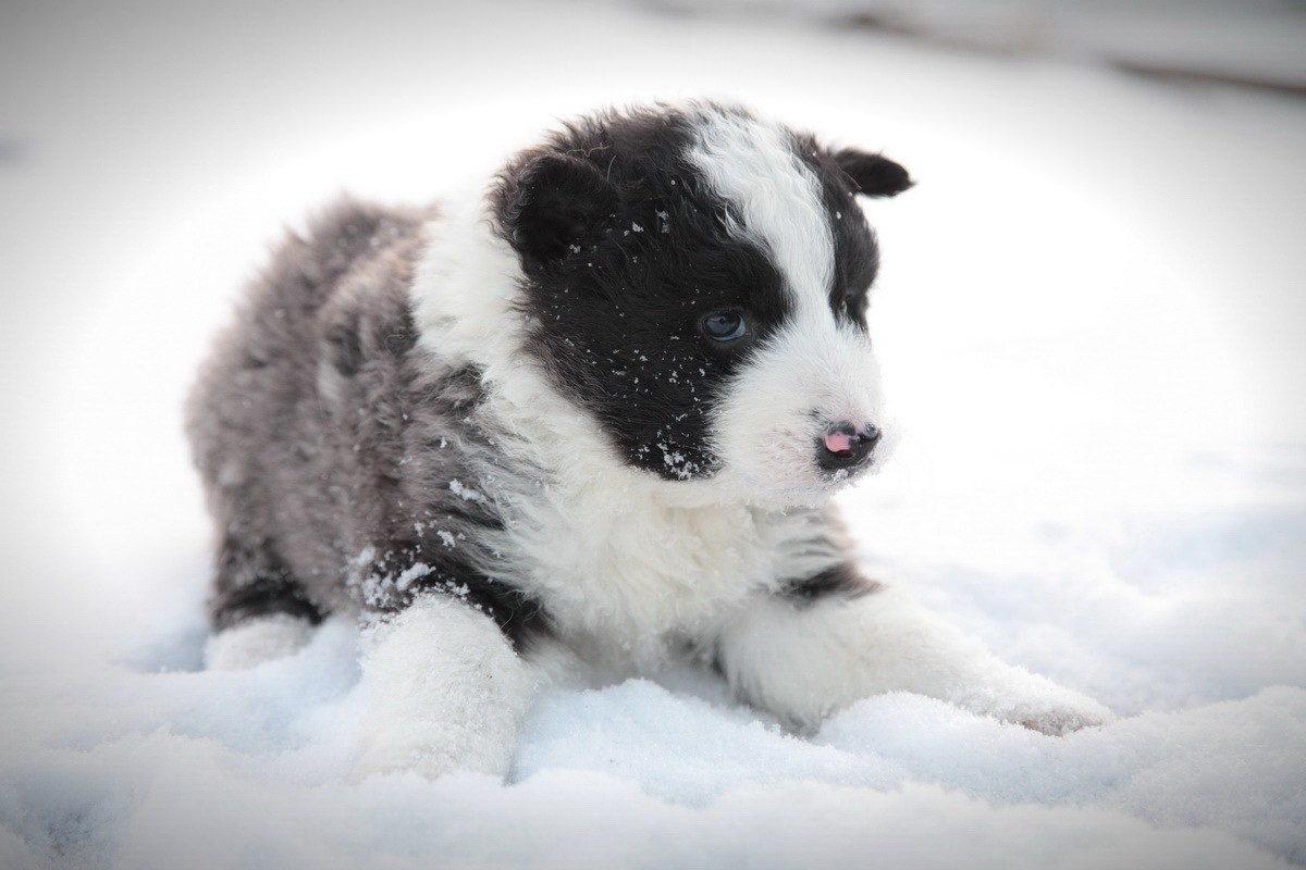 Фото Природы Забайкалья. Студия Максима Белослюдцева