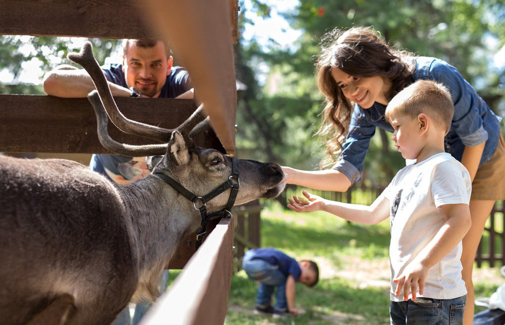 Санаторий «Сосновый бор». Промышленный фотограф | Бизнес-фотосессии | Казань и РФ
