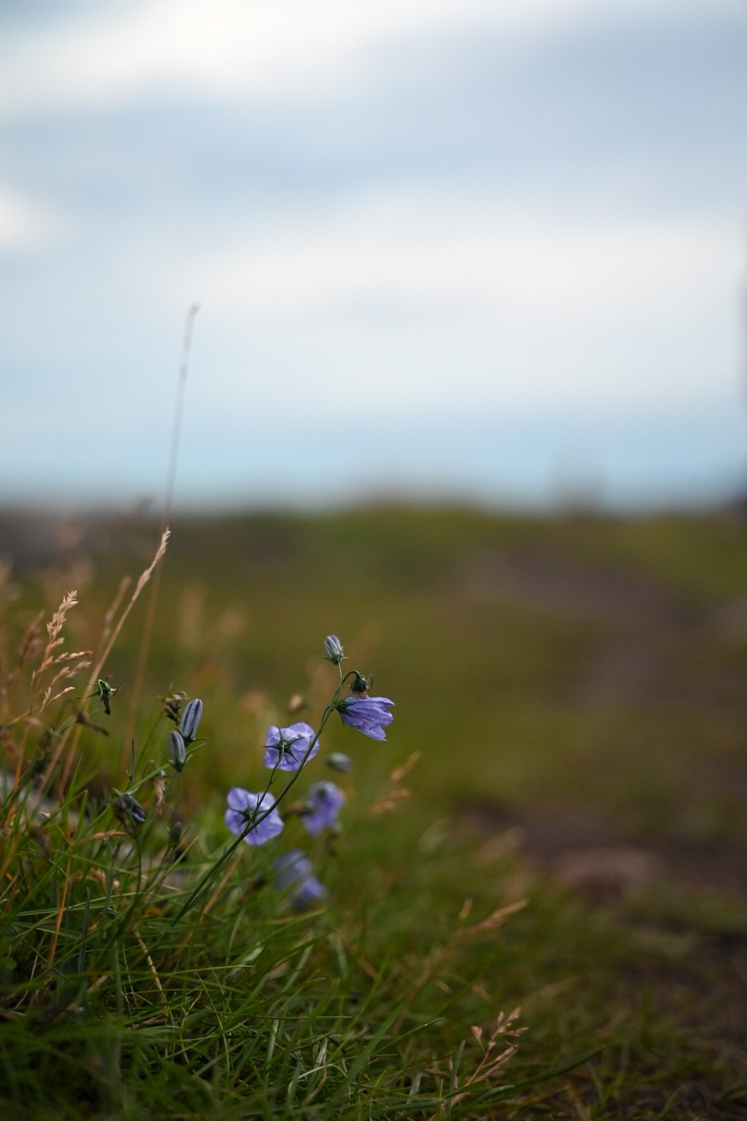 Nature. Андрей Пиотровский. Фотограф