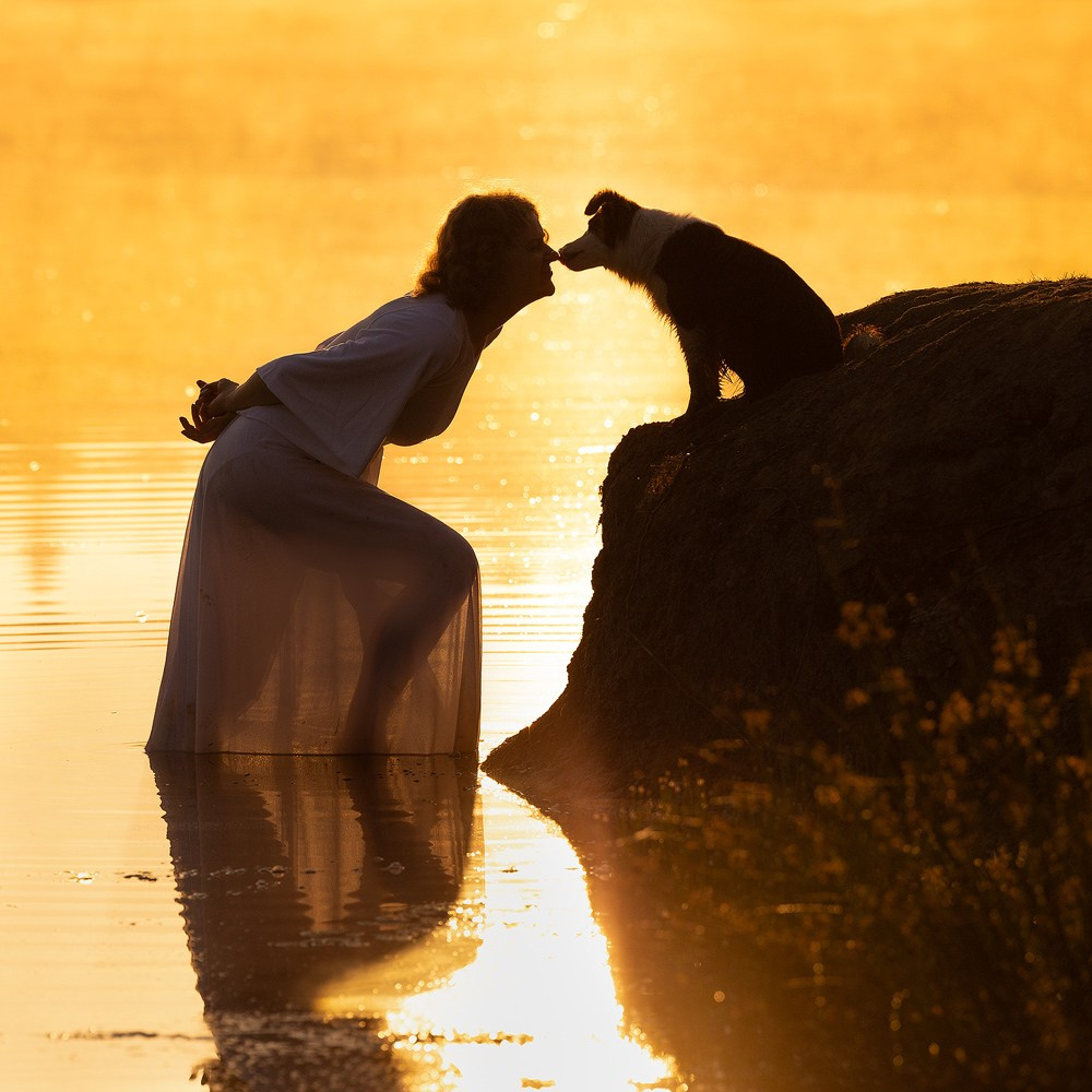 Съёмки собак на природе. Фотограф-анималист Natalia Deingel | Фотосъемка собак в Москве