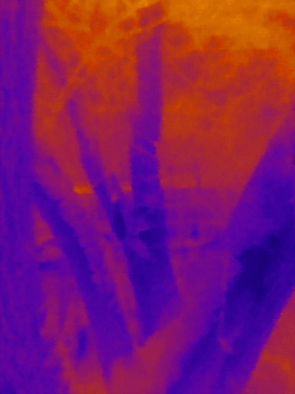 Если б я была удавом / If I were a boa constrictor. Visual artist Olga Burmistrova