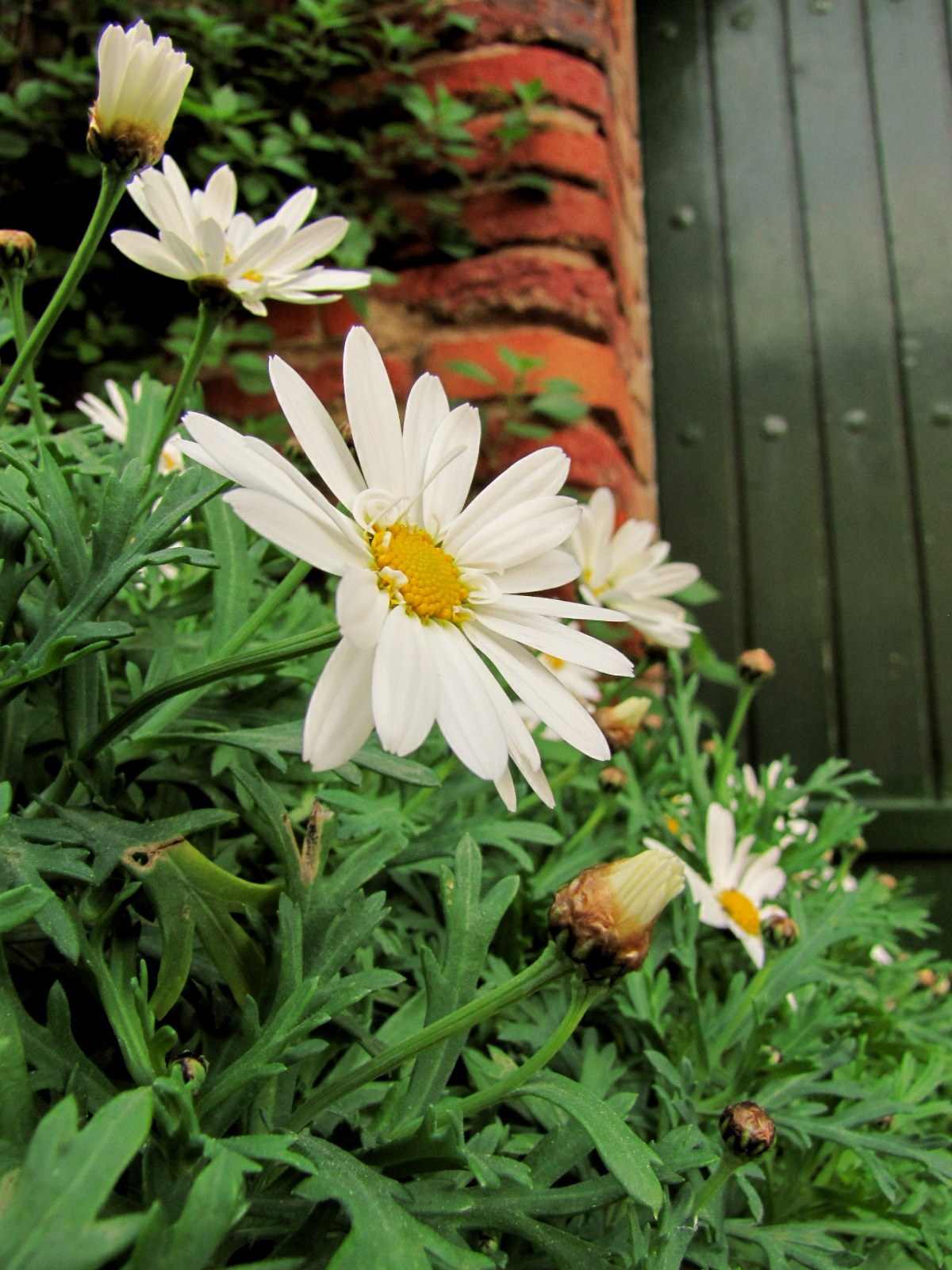Каталония: Льорет-де-Мар и Барселона. Дарья Письменюк / Darya Leitstern — фотограф, музыкант, журналист, путешественник