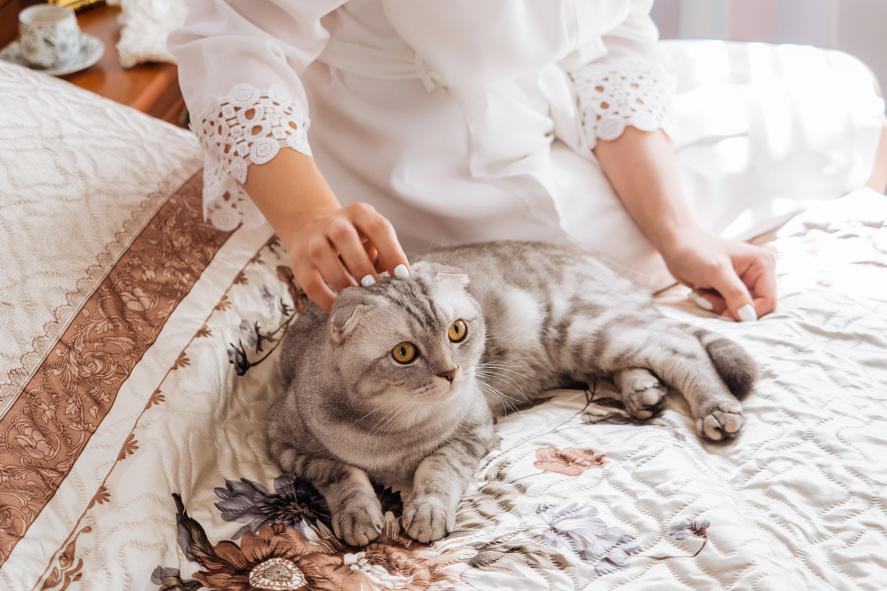 Наташа и Валера. Свадебный фотограф во Владимире - Мария Широкорядова