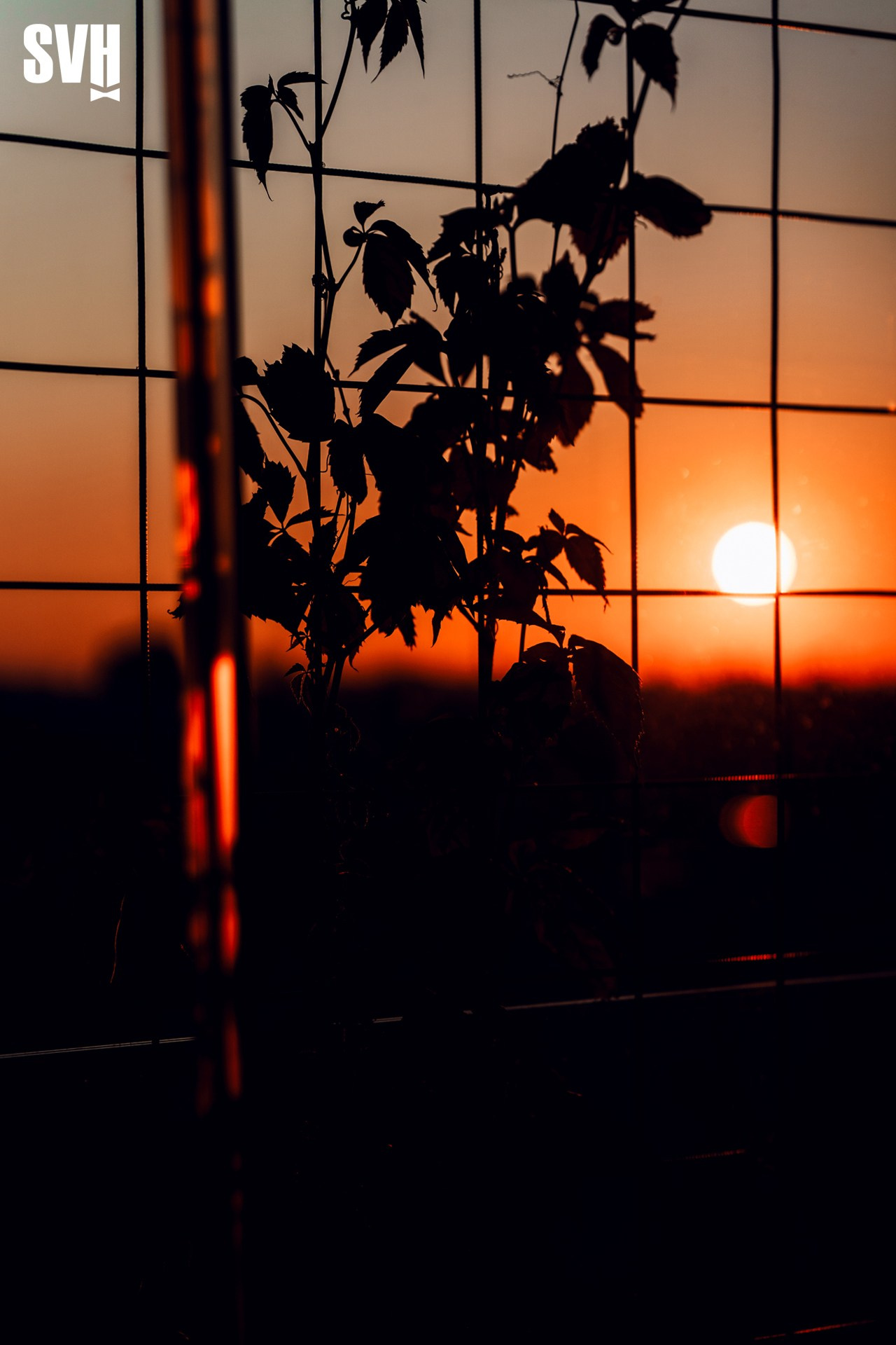 ODYSSEY | ODYSSEY CREW