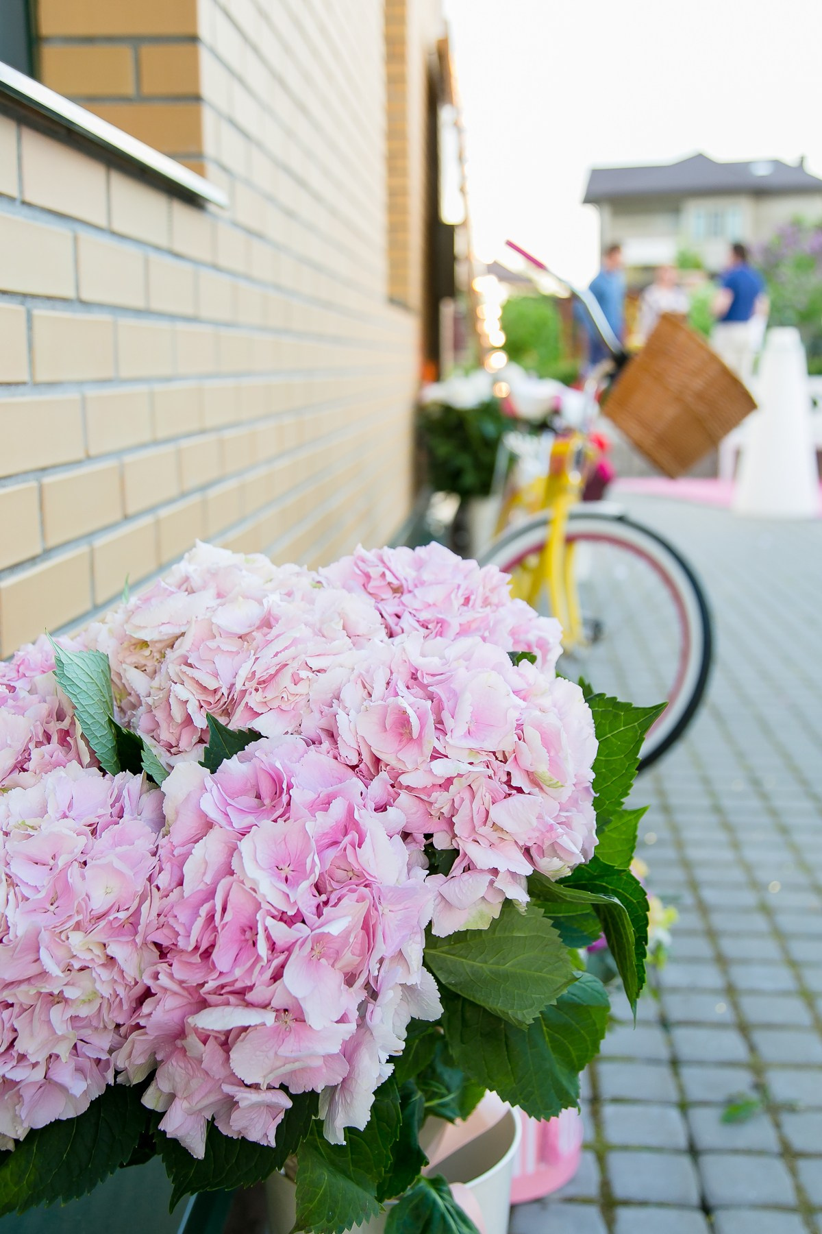 ДЕНЬ РОЖДЕНИЯ Конный клуб. Главная