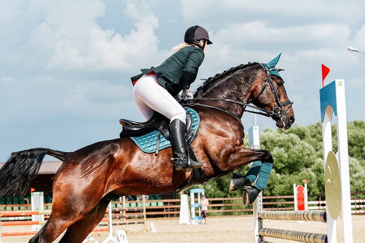 ЛЕТНИЙ КУБОК НА ПРИЗЫ КСК «ЖДАНОВСКОЕ ПОДВОРЬЕ» ПО КОНКУРУ. Конный фотограф Куракина Дарья • Фотосессии с лошадьми