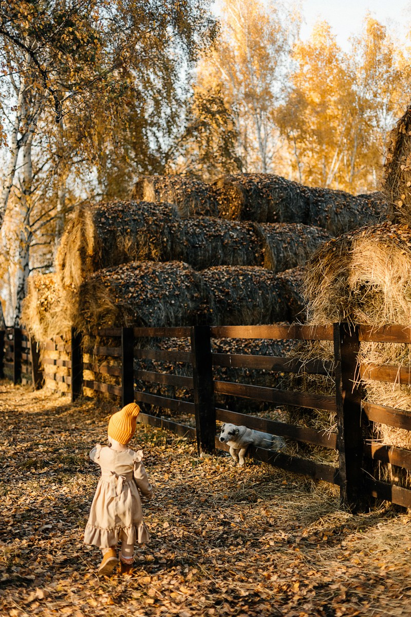 На ранчо. Фотограф Подсумкина Ирина