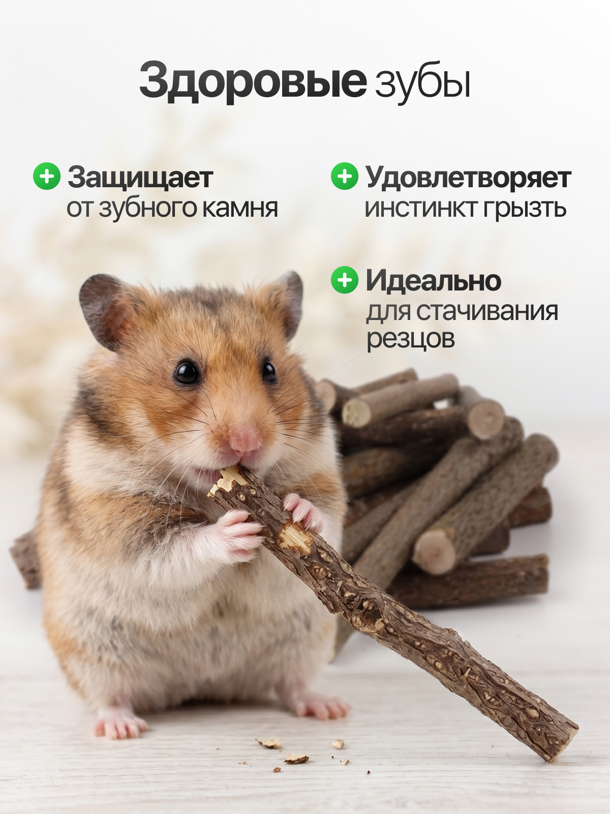 Инфографика. Дмитрий Королев. Ваш предметный фотограф и дизайнер инфографики