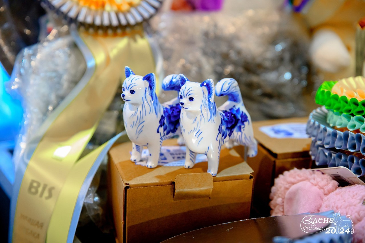 Отзывы. Фотограф анималист Елена Галдина г. Красноярск