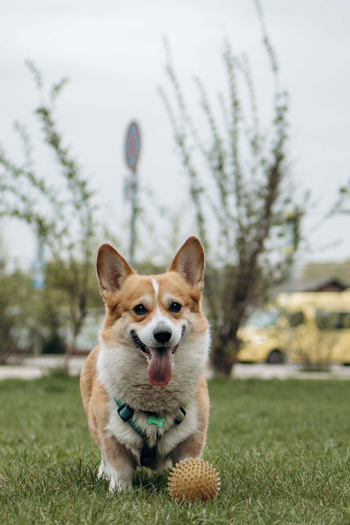 Екатерина и Альфи