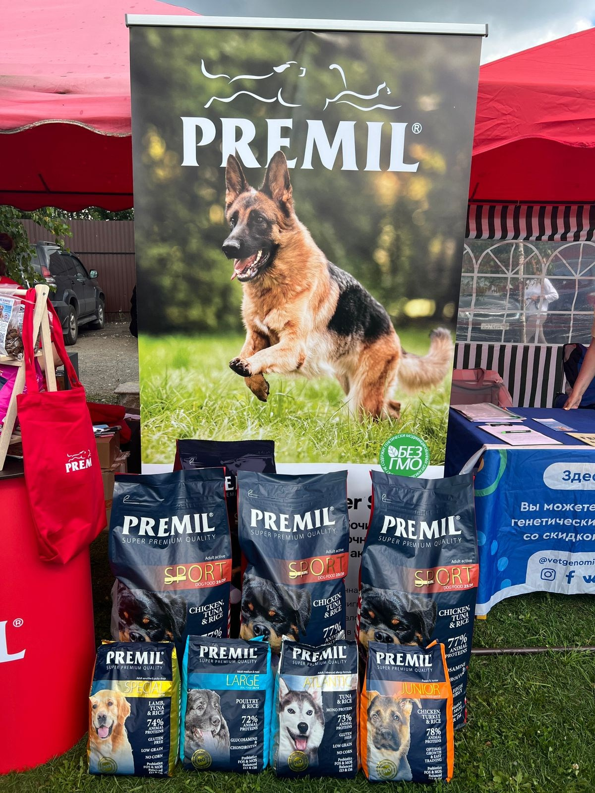 О фотографе TitAnya. Фотограф собак, фотограф-анималист Аня Титова (Titanya). Москва