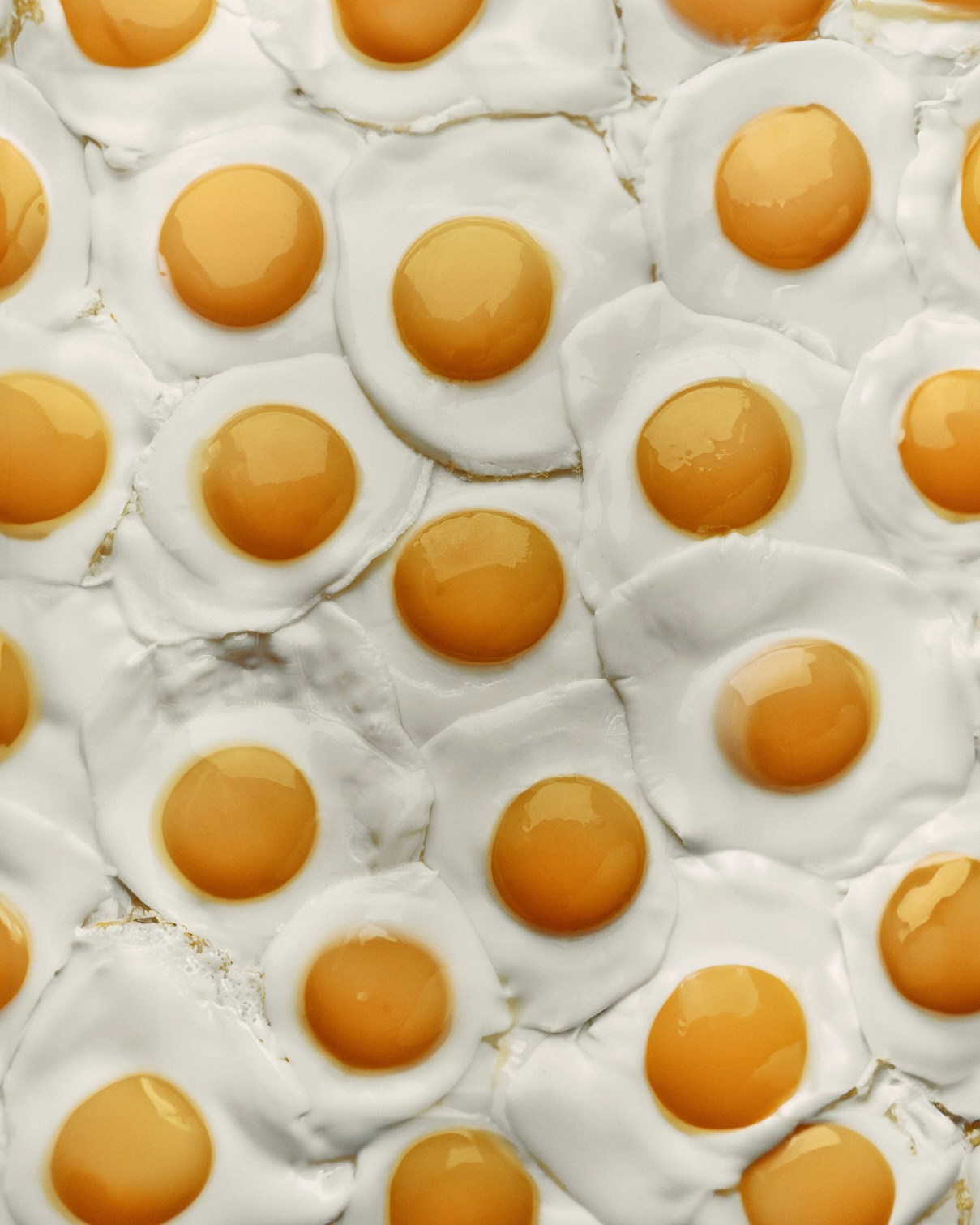 Фотограф Елена Вороха. Москва