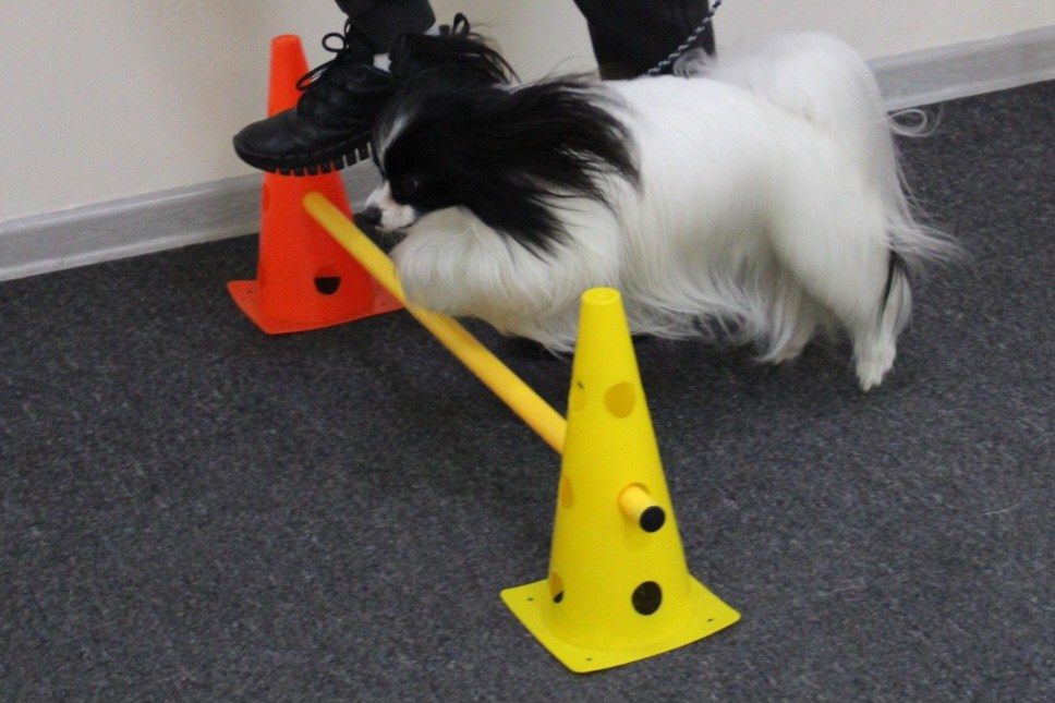 Репортаж УС «ДЦ Ральф». Катя Попова|ЛайфСтайл фотограф