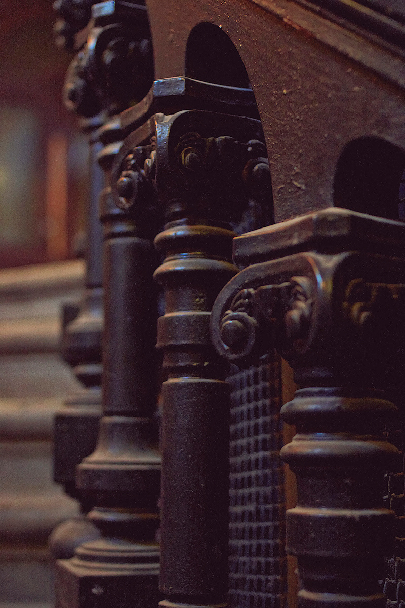 ЧЕРНАЯ РОЗА. Фотосессии. Свадебная, студия, портрет. Ваш фотограф в Санкт-Петербург